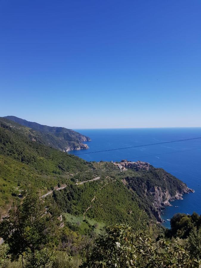 Vitis Vitae Vernazza, San Bernardino 5 Terre Luaran gambar