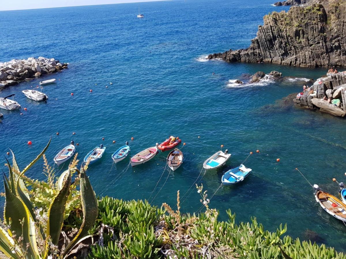 Vitis Vitae Vernazza, San Bernardino 5 Terre Luaran gambar
