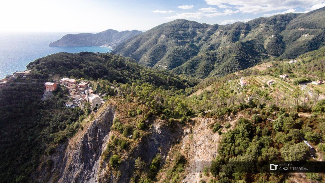 Vitis Vitae Vernazza, San Bernardino 5 Terre Luaran gambar