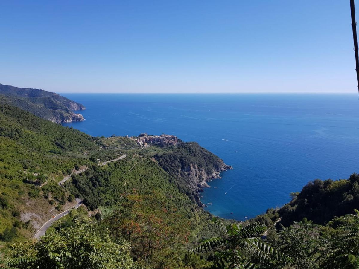 Vitis Vitae Vernazza, San Bernardino 5 Terre Luaran gambar